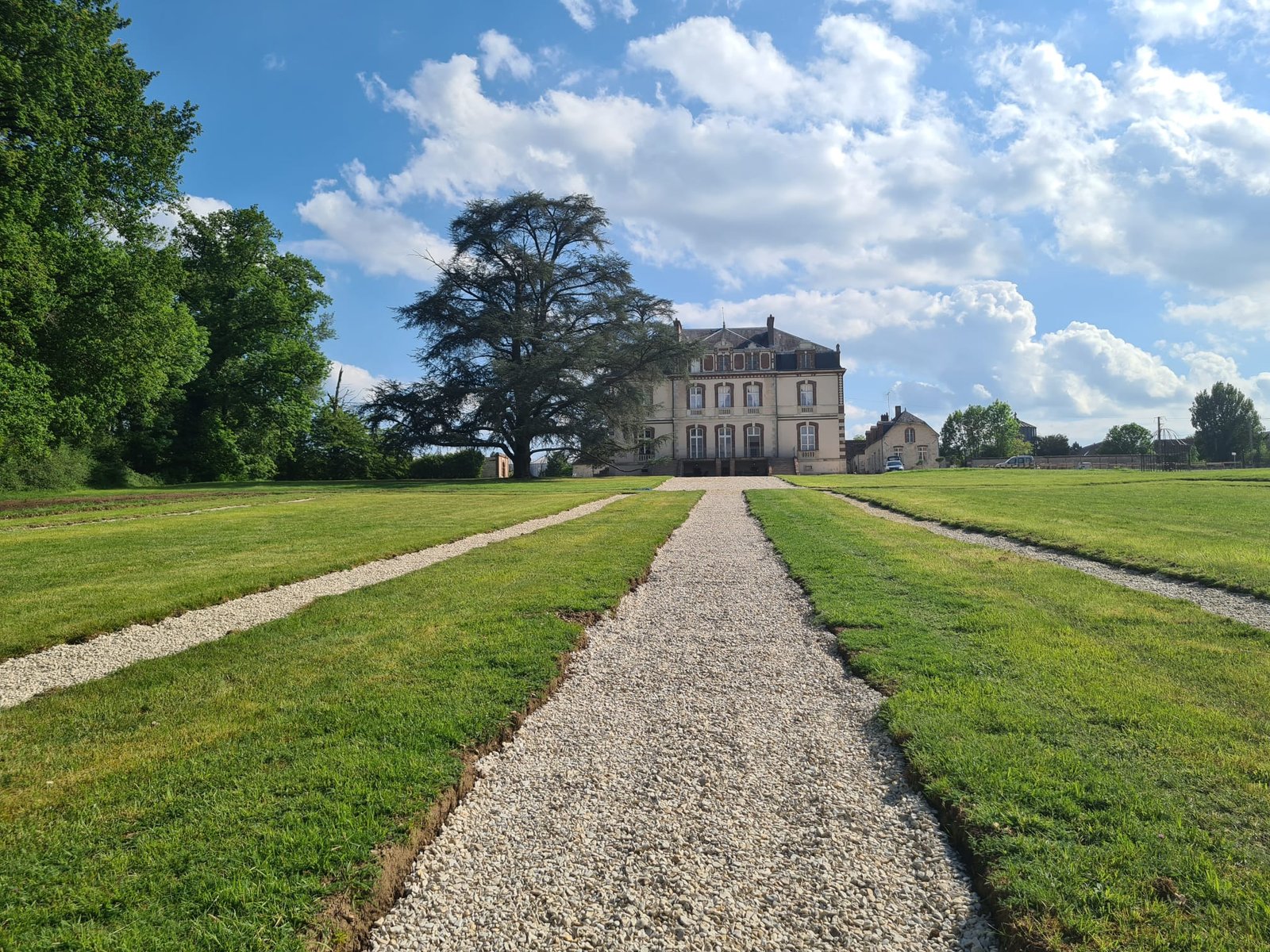 Le Cèdre